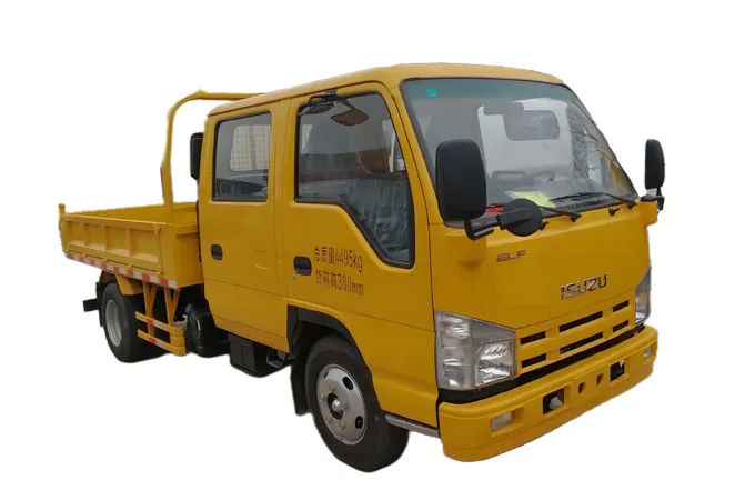 ISUZU 100P Cargo Truck