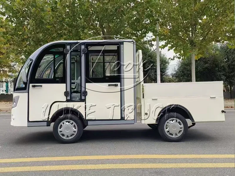 electric cargo vehicle for sale